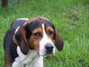 Methos - ADOPTED 02.23.11