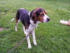 Methos - ADOPTED 02.23.11
