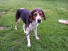 Methos - ADOPTED 02.23.11