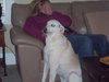 Wrigley-ADOPTED