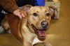 Troy - ADOPTED 07.21.11