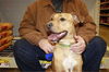 Troy - ADOPTED 07.21.11