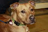 Troy - ADOPTED 07.21.11