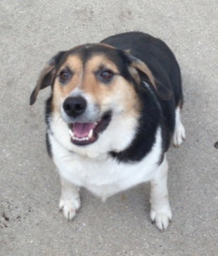 Snoopy-ADOPTED 06.07.10