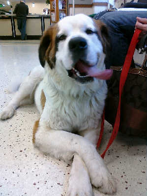 Ms. May-ADOPTED