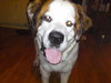 Ms. May-ADOPTED