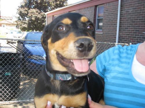 Ann-Adopted