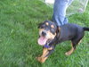 Ann-Adopted