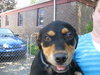 Ann-Adopted
