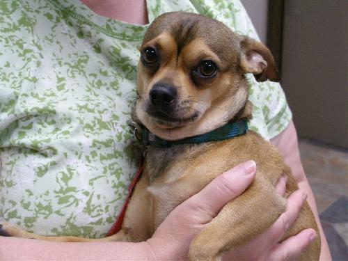 Freddie-ADOPTED