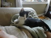 Maui - ADOPTED 11.27.10