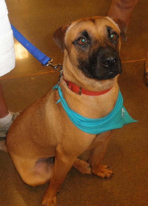 Spencer AKA Gordy - ADOPTED 11.03.10