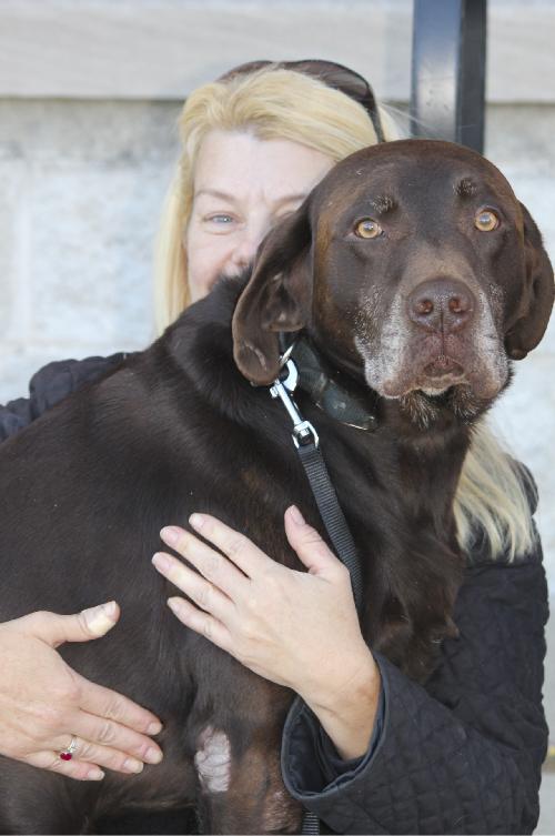 Mocha - ADOPTED 01.04.11
