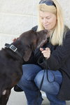 Mocha - ADOPTED 01.04.11