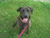 Mona Lisa - ADOPTED 09.30.11
