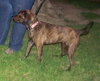 Mona Lisa - ADOPTED 09.30.11