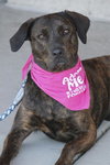 Mona Lisa - ADOPTED 09.30.11