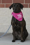 Mona Lisa - ADOPTED 09.30.11