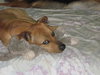 Kwik - ADOPTED 08.05.10