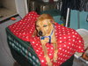 Kwik - ADOPTED 08.05.10