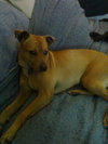 Kwik - ADOPTED 08.05.10