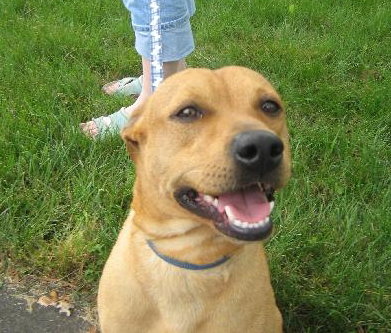 Kwik - ADOPTED 08.05.10