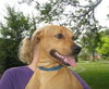 Kwik - ADOPTED 08.05.10