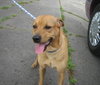 Kwik - ADOPTED 08.05.10