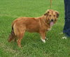 Shane - ADOPTED 07.30.10
