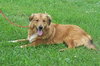 Shane - ADOPTED 07.30.10