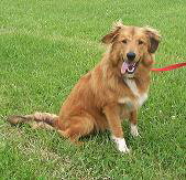 Shane - ADOPTED 07.30.10