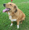 Shane - ADOPTED 07.30.10