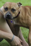 Ruby - ADOPTED 7.16.10