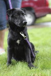 McBain-ADOPTED