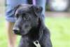 McBain-ADOPTED