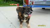 MaryLou-ADOPTED