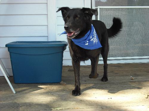 Millie-Lucky Girl!--PENDING