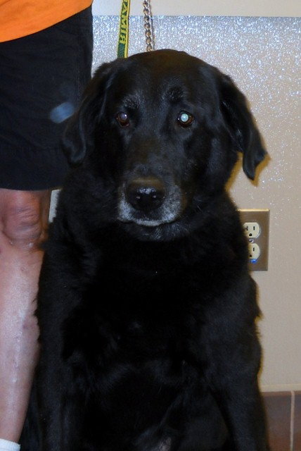 Mr. Casey - ADOPTED 09.27.10