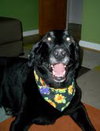 Mr. Casey - ADOPTED 09.27.10