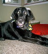 Mr. Casey - ADOPTED 09.27.10
