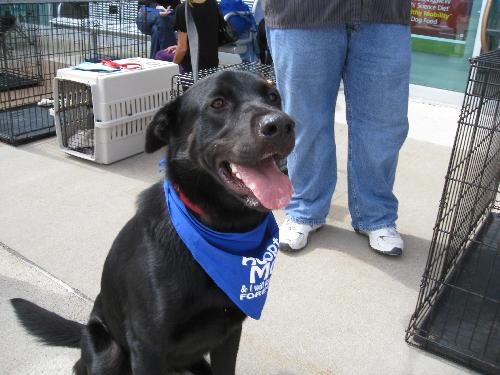 Bismark-ADOPTED-10.9.10