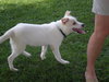 Slee-ADOPTED