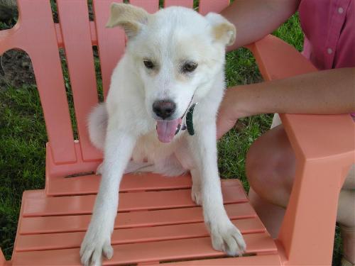Slee-ADOPTED