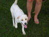 Slee-ADOPTED