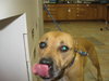 Minnie-ADOPTED-11.17.10