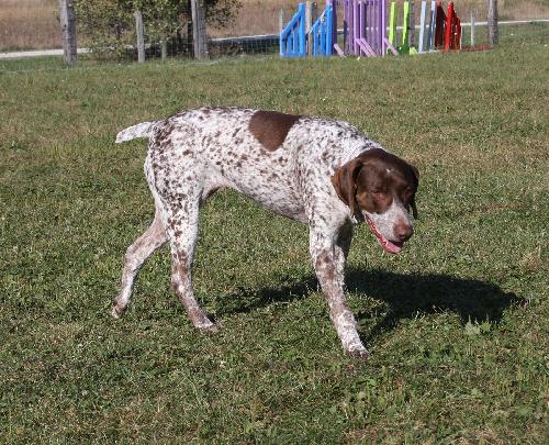 Sophie - ADOPTED 01.15.11
