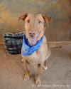 Piper-ADOPTED 01.06.13