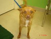 Fritz-ADOPTED