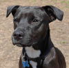 Maddy - ADOPTED 05.06.12