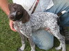 ppp-Arvon-ADOPTED